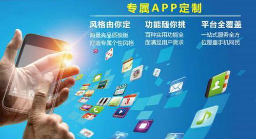 安徽APP開發(fā) 如何衡量APP軟件定制開發(fā)的質(zhì)量